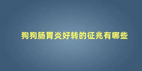狗狗肠胃炎好转的征兆有哪些