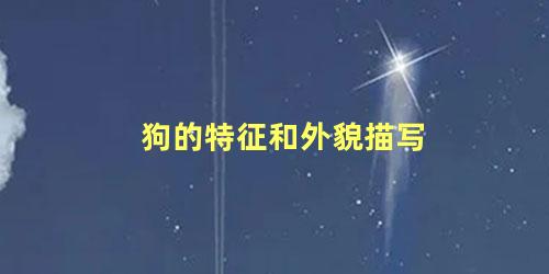 狗的特征和外貌描写