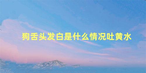 狗舌头发白是什么情况吐黄水