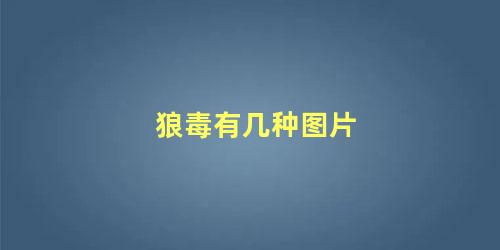 狼毒有几种图片