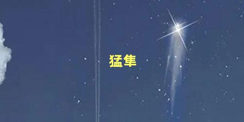猛隼