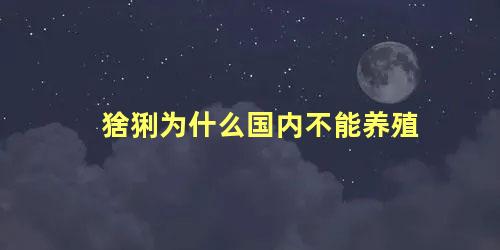 猞猁为什么国内不能养殖