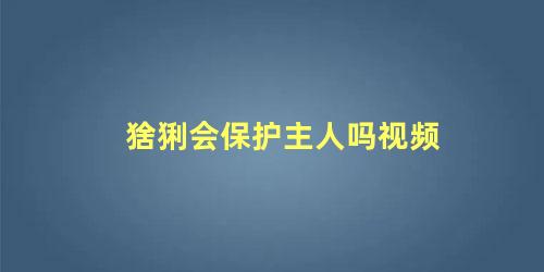 猞猁会保护主人吗视频