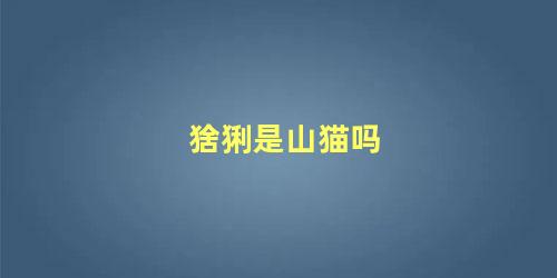 猞猁是山猫吗