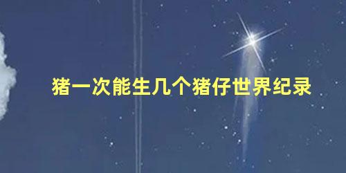 猪一次能生几个猪仔世界纪录