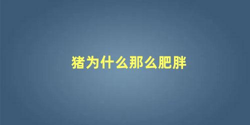 猪为什么那么肥胖