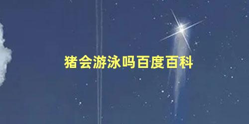 猪会游泳吗百度百科