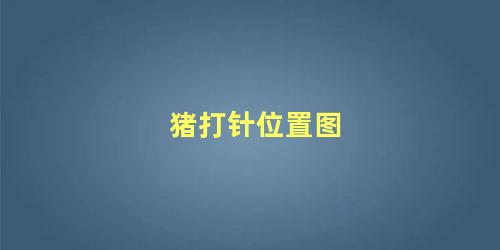 猪打针位置图