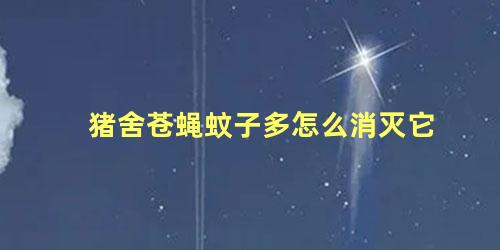 猪舍苍蝇蚊子多怎么消灭它