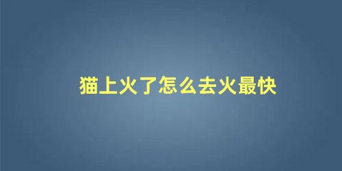猫上火了怎么去火最快