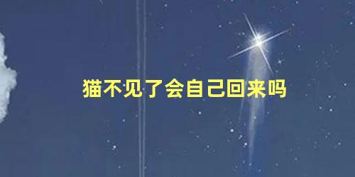 猫不见了会自己回来吗