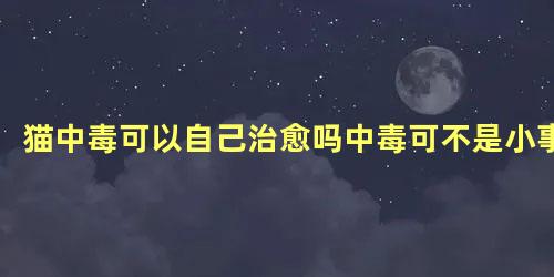 猫中毒可以自己治愈吗中毒可不是小事