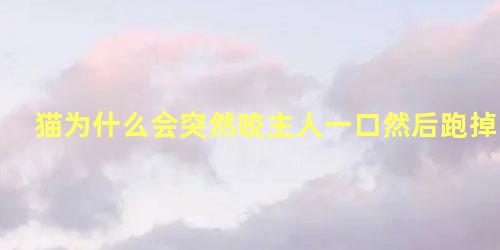 猫为什么会突然咬主人一口然后跑掉