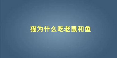 猫为什么吃老鼠和鱼