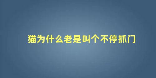 猫为什么老是叫个不停抓门