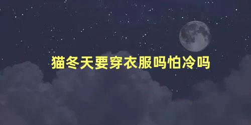 猫冬天要穿衣服吗怕冷吗