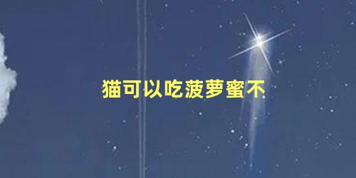 猫可以吃菠萝蜜不