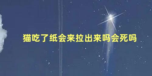 猫吃了纸会来拉出来吗会死吗
