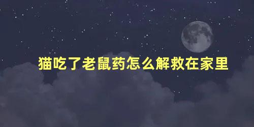 猫吃了老鼠药怎么解救在家里