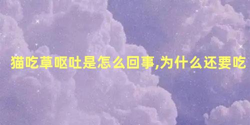 猫吃草呕吐是怎么回事,为什么还要吃