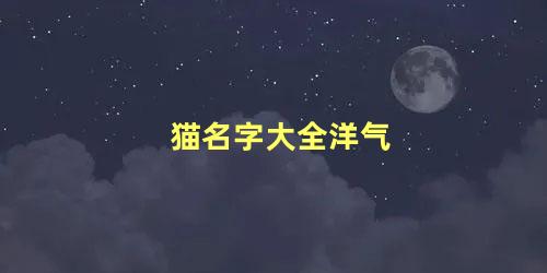 猫名字大全洋气