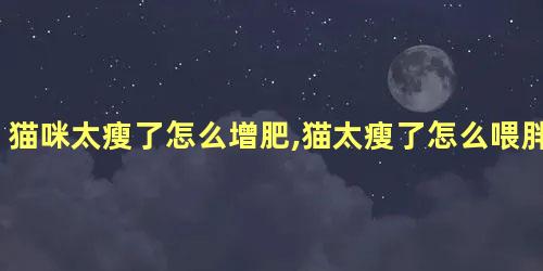 猫咪太瘦了怎么增肥,猫太瘦了怎么喂胖