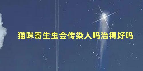 猫咪寄生虫会传染人吗治得好吗