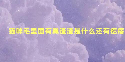 猫咪毛里面有黑渣渣是什么还有疙瘩