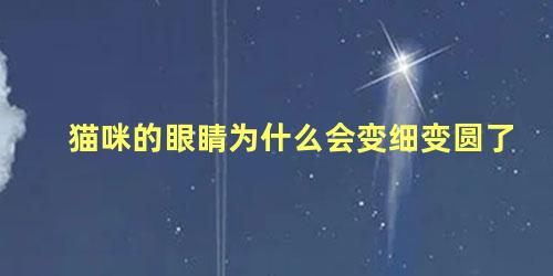 猫咪的眼睛为什么会变细变圆了