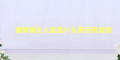 猫咪舔主人脸是什么原因引起的