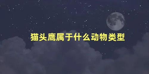 猫头鹰属于什么动物类型
