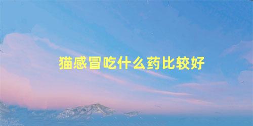 猫感冒吃什么药比较好