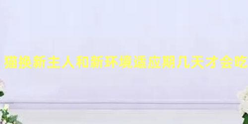 猫换新主人和新环境适应期几天才会吃东西