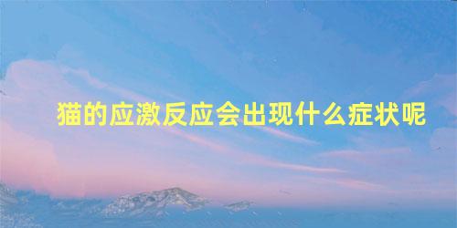 猫的应激反应会出现什么症状呢