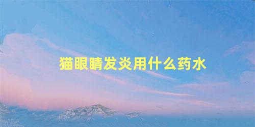 猫眼睛发炎用什么药水