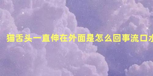 猫舌头一直伸在外面是怎么回事流口水
