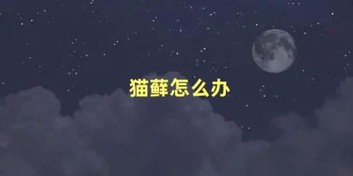 猫藓怎么办