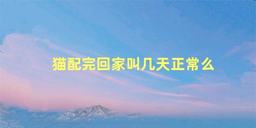 猫配完回家叫几天正常么