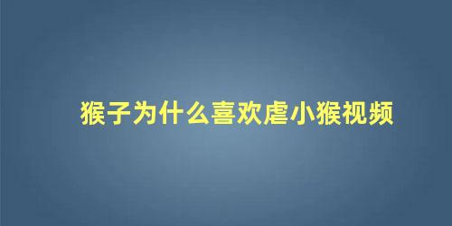 猴子为什么喜欢虐小猴视频