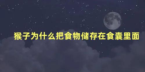 猴子为什么把食物储存在食囊里面