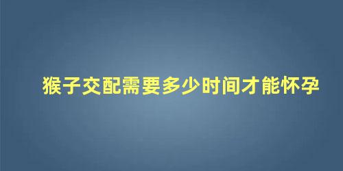 猴子交配需要多少时间才能怀孕