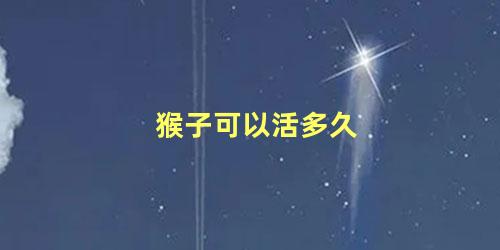 猴子可以活多久