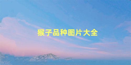 猴子品种图片大全