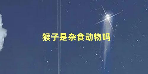 猴子是杂食动物吗