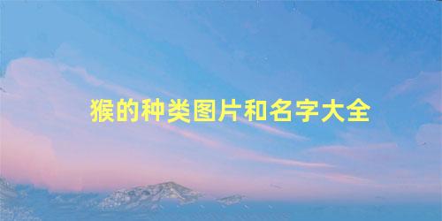 猴的种类图片和名字大全