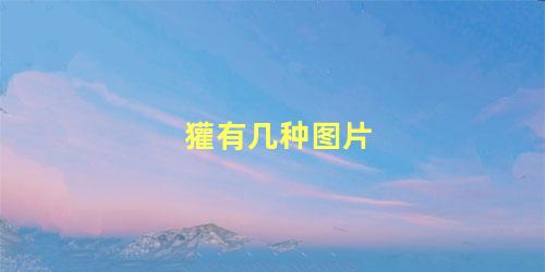 獾有几种图片