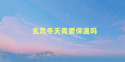 玄凤冬天需要保温吗