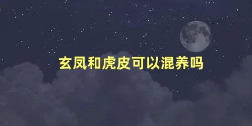 玄凤和虎皮可以混养吗