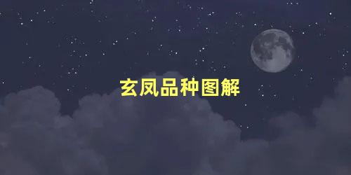 玄凤品种图解