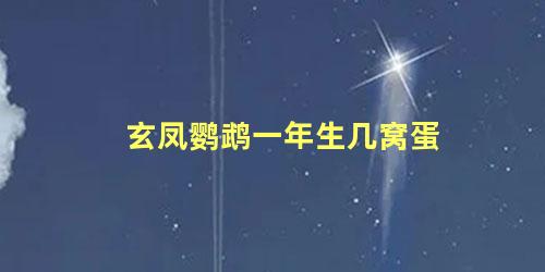 玄凤鹦鹉一年生几窝蛋